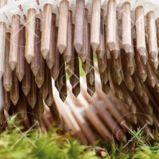 LIGNOLOC 3,7 X 50mm LEGNO, cartone di 3\'060 pezzi.