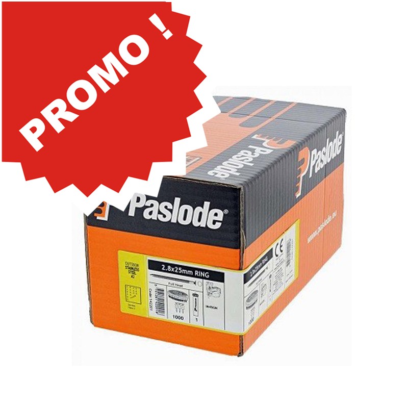 Chiodi 25mm annellato inox, cartone di 1\'000 pezzi + gas. art. 142201